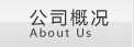 导航项2